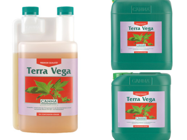 Canna Terra Vega